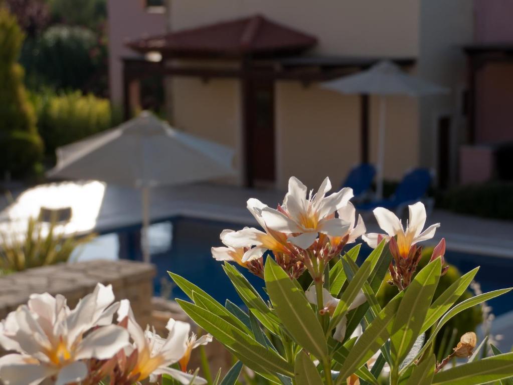Eligia Villas Mixórrouma Camera foto